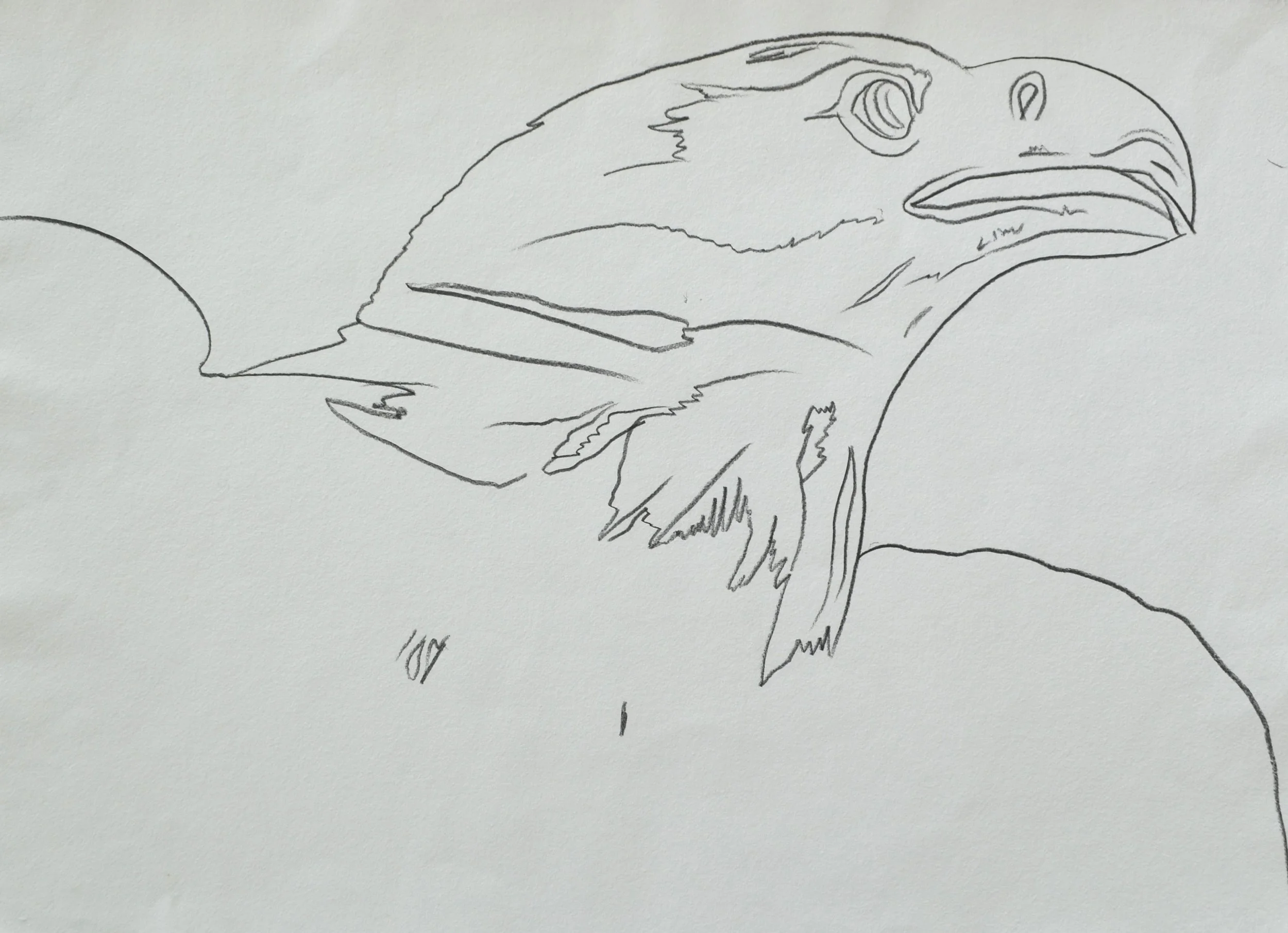 WARHOL、BALD EAGLE、希少画集画、新品高級額、額装付 Experience Andy Warhol's Art in Concord